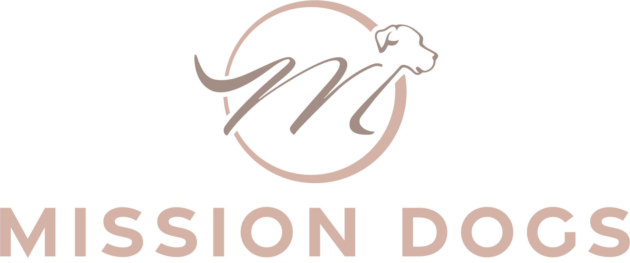 Mission Dogs